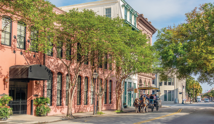 A large pink building with tall windows, a thin white building with blue trim, a thin pink building, and a tan building line the quiet streets of Charleston. The sidewalk features several tall and narrow trees, and there is a horse and buggy on the road.