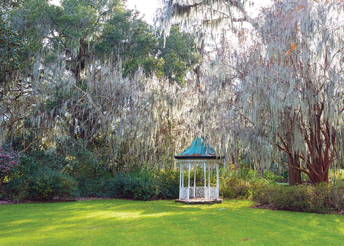 magnolia plantation and gardens