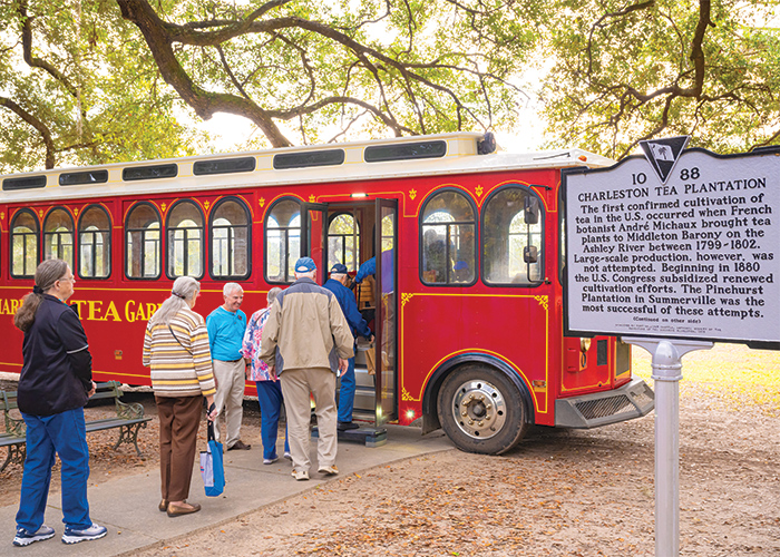 charleston tea garden