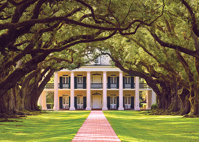 yellow building with tall white pillars surrounded by trees with a red pathway leading up to the front door