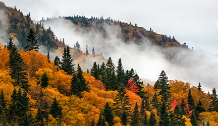 Fog blankets the mountains, highlighting the vibrant colors of autumn trees in Sleepy Hollow, NY