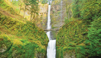 A bridge connects two forest-covered mountains, crossing over Multnomah Falls, a tall, rushing white waterfall. There are several people walking along the bridge.