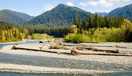 Tree-covered mountains line the horizon at Olympic National Park, where there is a small sand bar covered with trees beside Puget Sound