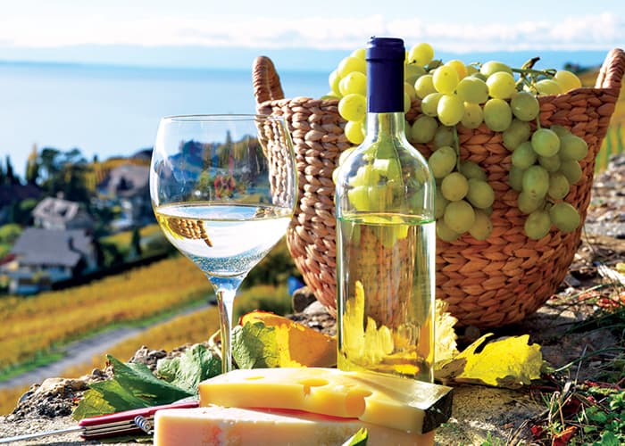 Vineyard Cruise