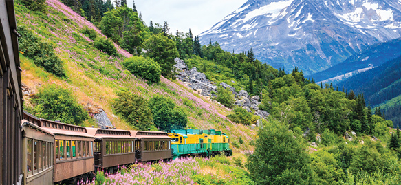 https://www.americancruiselines.com/cruises/alaska-cruises/alaskan-explorer-cruise