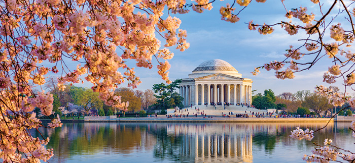 https://www.americancruiselines.com/cruises/southeast-us-cruises/american-revolution-cruise