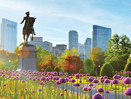 Vibrant purple flowers line the city landscape with the George Washington Statue, a statue of a man riding a horse and skyscrapers along the horizon in Boston.