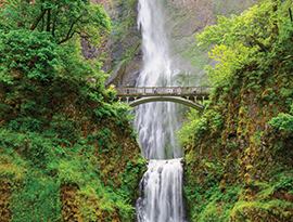 A bridge connects two forest-covered mountains, crossing over Multnomah Falls, a tall, rushing white waterfall. There are several people walking along the bridge.