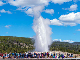 Old Faithful, a large cloud of water erupting out from the ground into the sky in Yellowstone National Park. There is a large group of tourists in the foreground watching the eruption.