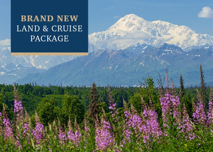 Pink Fireweed wildflowers stand tall in front of thick forests. In the distance, there are snow-capped mountains, including Mount Denali in Denali National Park. In the top left corner, there is a text overlay on a blue box that reads "Brand New Land & Cruise Package".