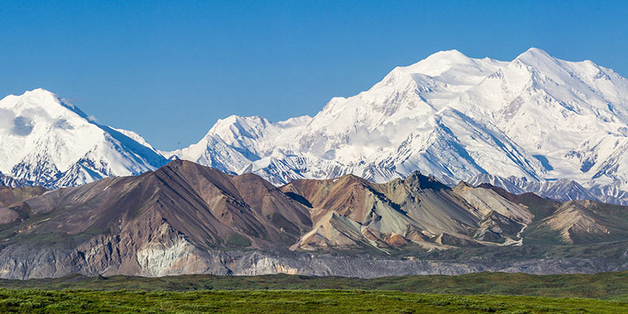 Bright greenery and small brown mountains are in front of the large white mountains of Denali National Park.