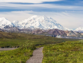 A gravel pathway, greenery, and small brown mountains lead up to the large white mountains of Denali National Park.