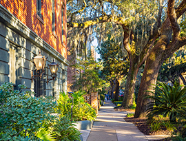 A sidewalk in Savannah, with brick buildings and small shrubs on one side, and live oak and palm trees on the other. 