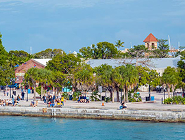Several people gathered in Mallory Square along the water in Key West. There are many palm trees around the sidewalks and buildings.