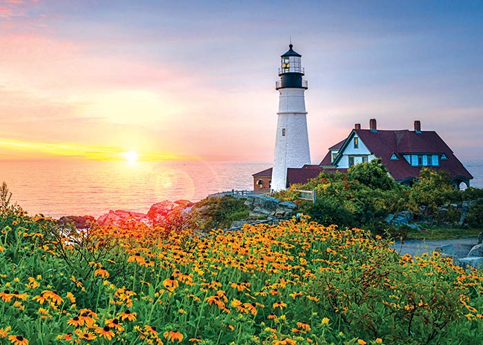 Portland Head Light, a white lighthouse next to a large white building with a red roof, with the pink and yellow sun set over Casco Bay in the distance. In the foreground, there is a large area filled with tall yellow flowers.