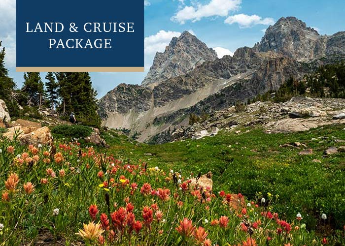 Rocky cliffs expand from the grassy hills in Glacier National Park, where there are red and orange flowers in the foreground. In the top left corner, there is a text overlay on a blue box that reads "Land & Cruise Package".