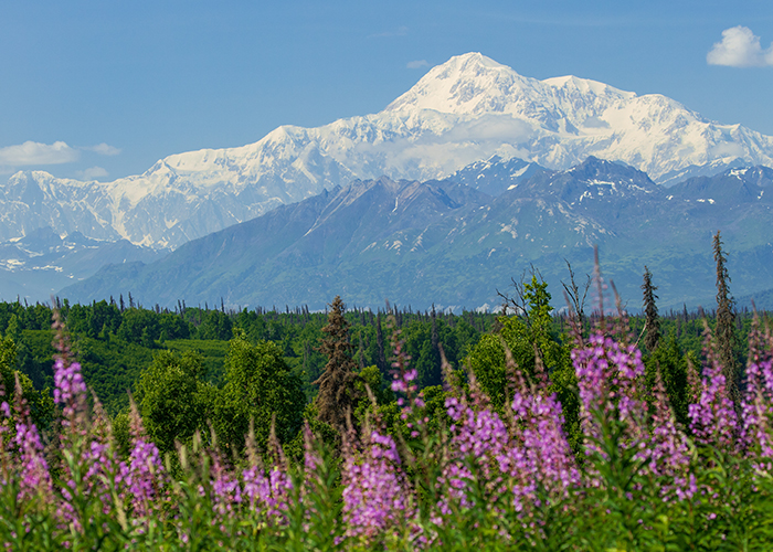 Denali National Park