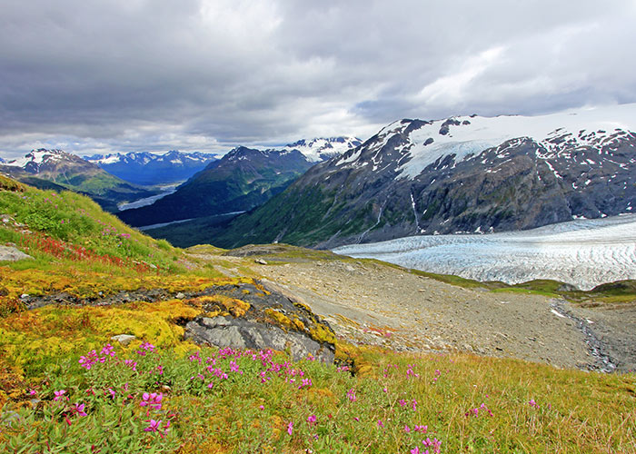 Kenai Fjords National Park