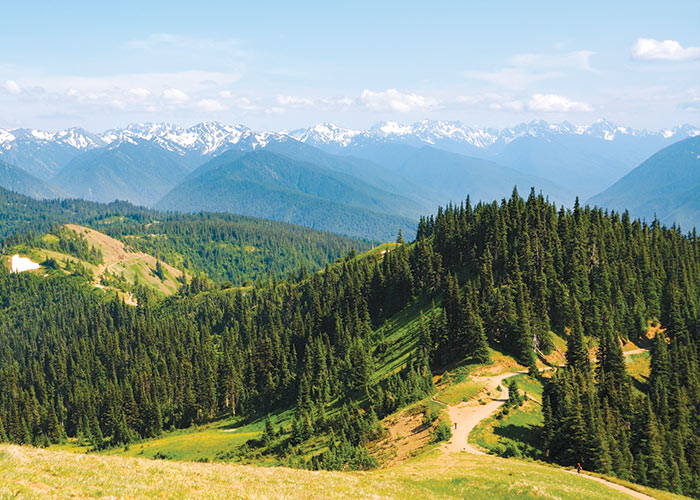 Olympic National Park Cruise