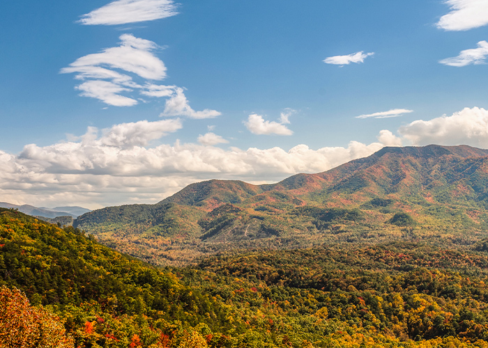 Great Smoky Mountain National Park