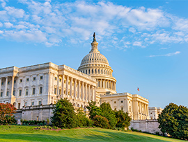 The U.S. Capitol Building, a large architectural landmark with aa central dome topped by the Statue of Freedom in Washington, D.C.The U.S. Capitol Building, a large architectural landmark with aa central dome topped by the Statue of Freedom in Washington, D.C.