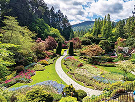 A view of the vast greenery and colorful flowers of Butchart Gardens in Victoria, BC. There is a stone walkway with two people walking on it in the distance, and two people are in the foreground on a higher level walkway.