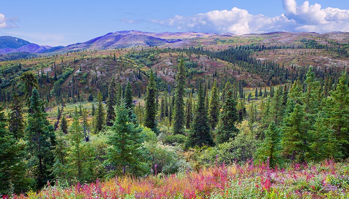 National Parks Explore National Parks Cruises