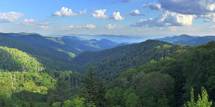 A view of the Great Smoky Mountains greenery, accompanied by a bright yet cloudy sky.