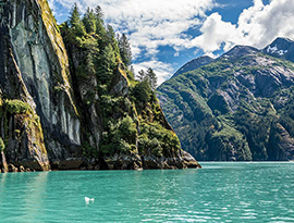 The crystalline waters of Tracy Arm Fjord are surrounded by cliffs with trees and greenery.