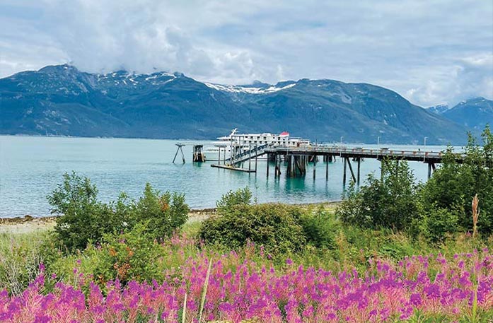 Pink Fireweed wildflowers and greenery line the edge of the bright blue waters of Lynn Canal in Haines. There is a dock stretching across the water from the right, and in the distance, there is an array of snow-capped mountains.