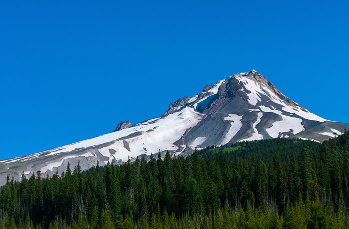 Mount Hood, a tall mountain partially covered in snow peaks above thick forests under a clear blue sky in Portland.