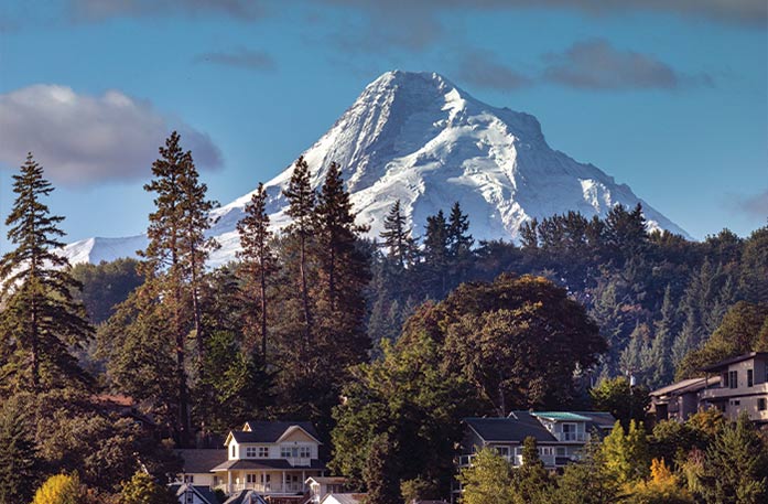 The view of Mount Hood from Portland. The tall white mountain peaks over thick trees with tall houses in the foreground.