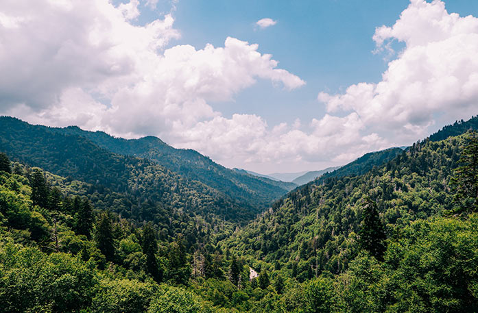 A view of the Great Smoky Mountains greenery, accompanied by a bright yet cloudy sky.