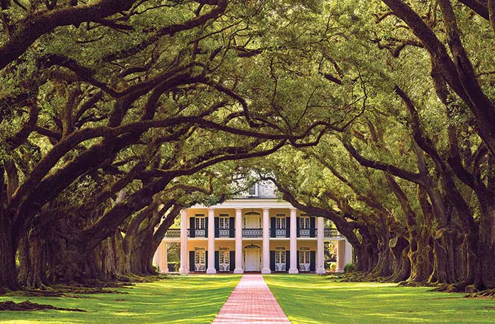 A historic plantation in Louisiana, Oak Alley Plantation, has two story pillars on all sides, grand porches, and is set amongst beautiful grounds and gardens with a red brick pathway with large oak trees on each side leading to the front door. 