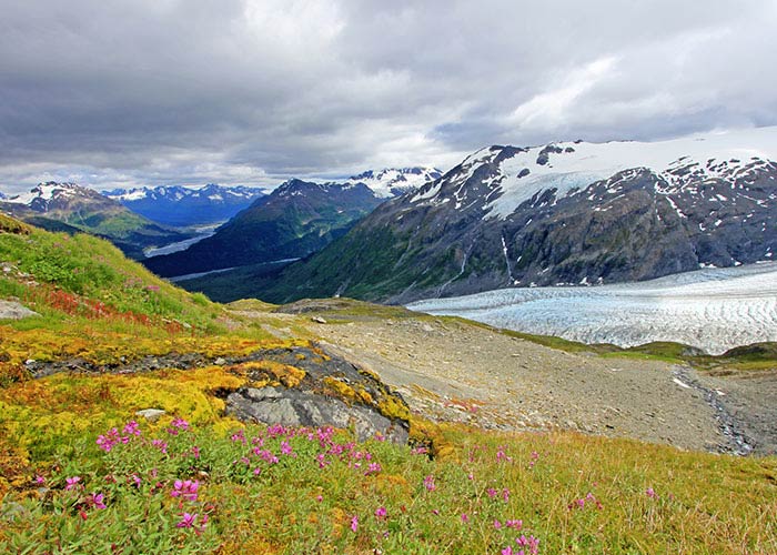 Kenai Fjords National Park