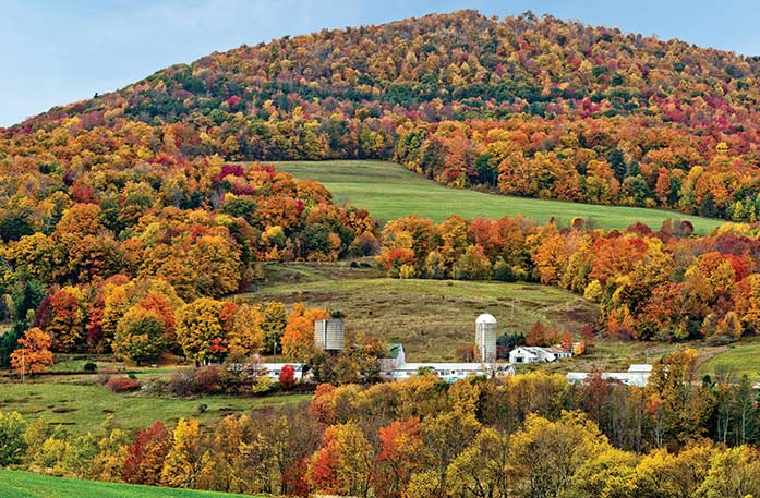 A steep cliff in Catskill, covered with trees that have orange, yellow, red, and green leaves during fall.