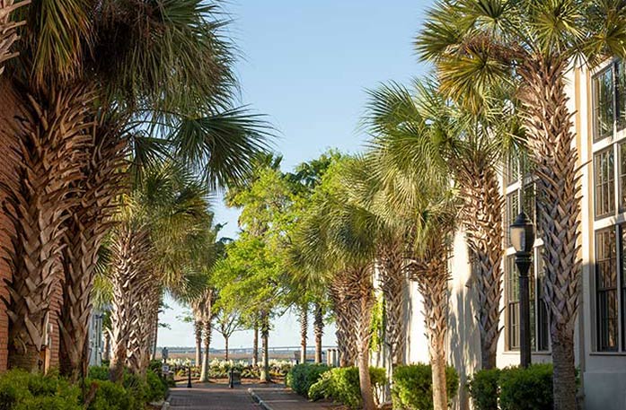 Tall palm trees and short bushes line a brick path leading up to the beach in the far distance in Beaufort. On the right, there is a glimpse of a white building with tall brown windows.