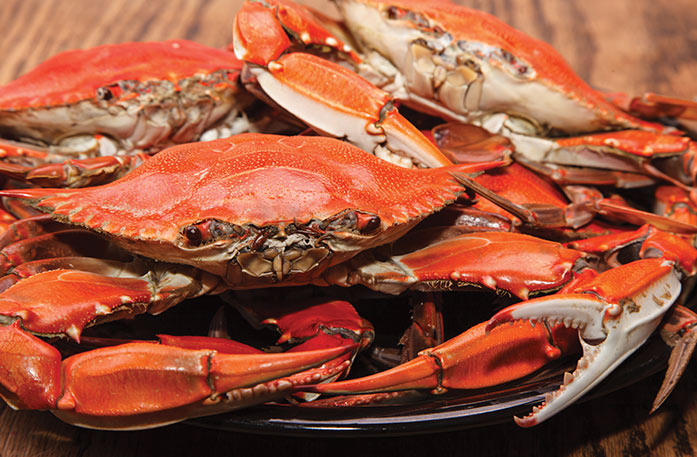 A detailed close-up of a cluster of crabs, highlighting their textured shells and claws and bright red coloring.