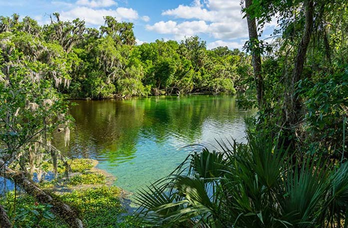 St. John's River, a blue-green river with thick greenery on each side, in Blue Spring State Park in Palatka.